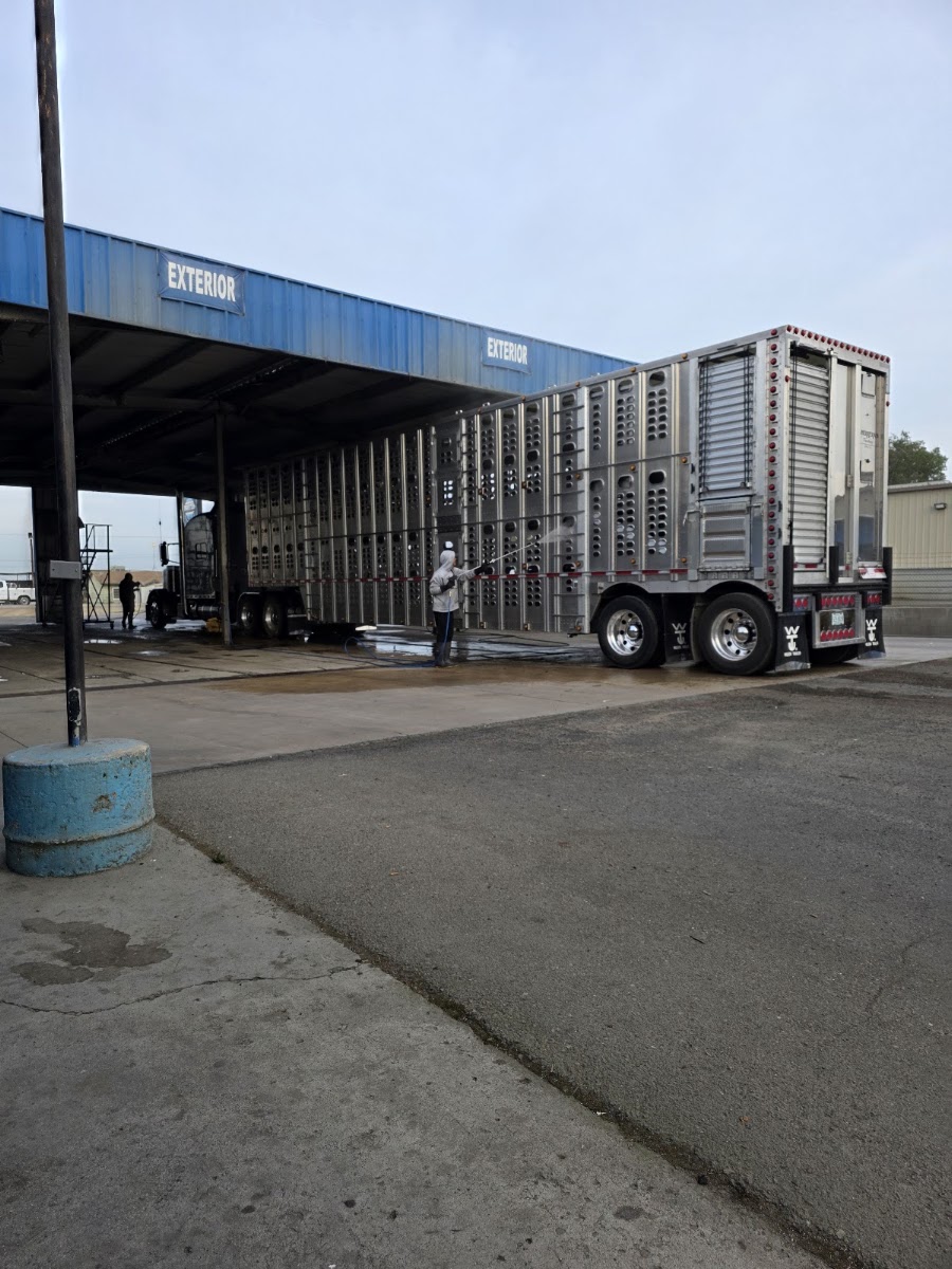 Truck Tub Int work