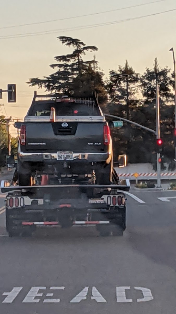 Elite Towing work