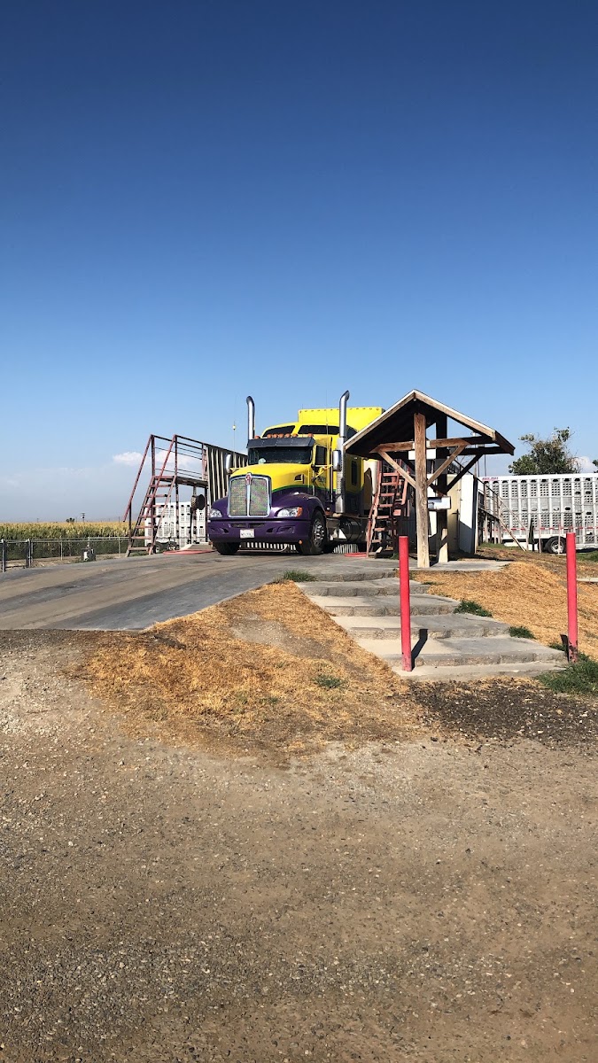 Brother's Livestock LLC & Washout work