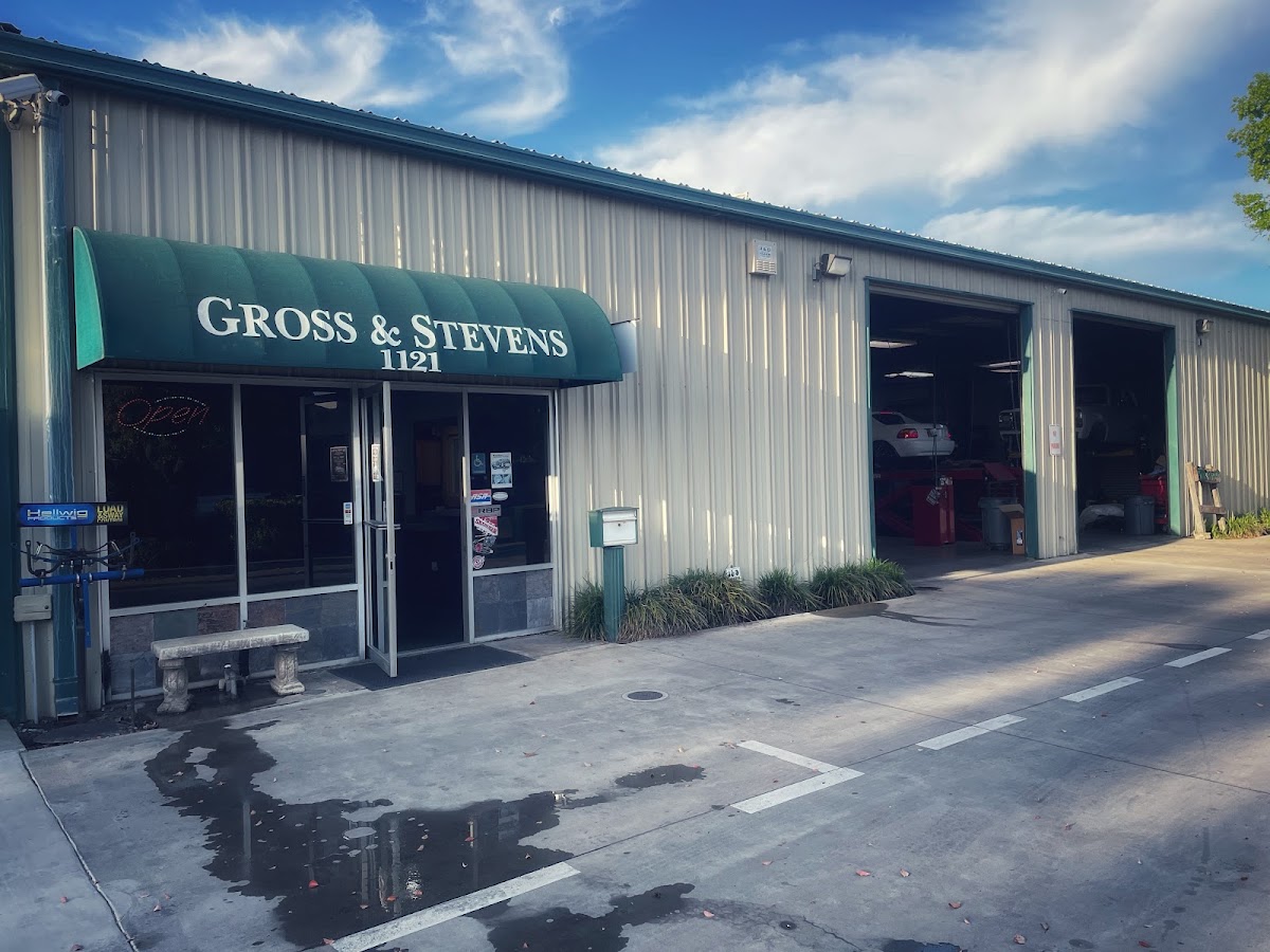 Gross & Stevens work
